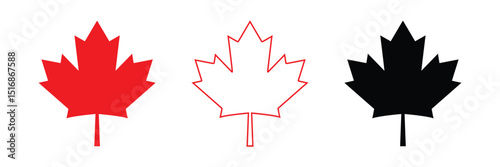 maple leaves icon vector illustration