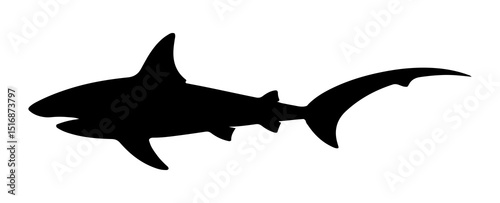 Black silhouette of a shark with visible fins and tail swimming in a white background illustration