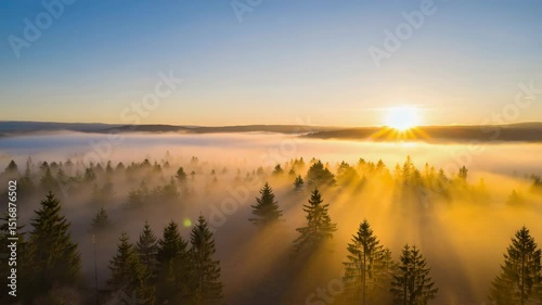 A seamless timelapse of a golden sunrise breaking through morning mist in a pine forest—perfect for nature, travel and wellness projects.
