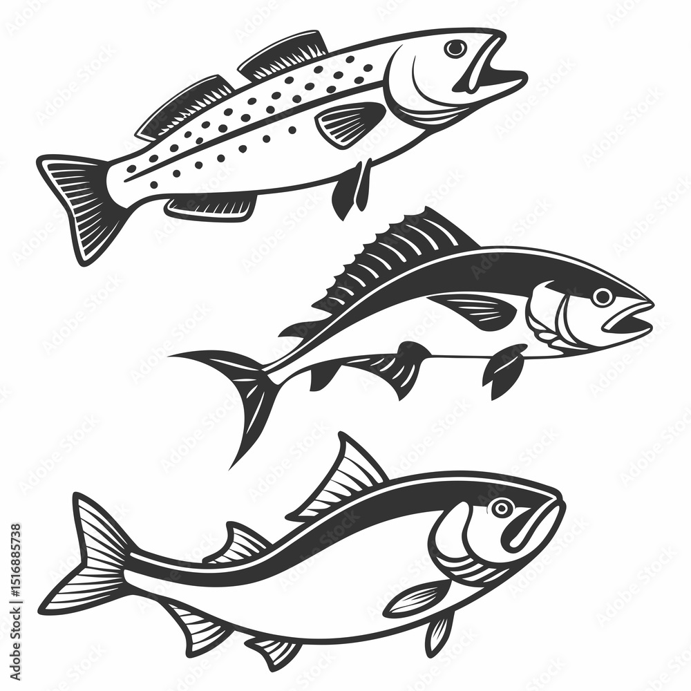Fototapeta premium Fish Vector