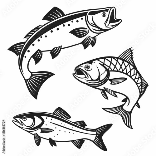 Fish Vector 