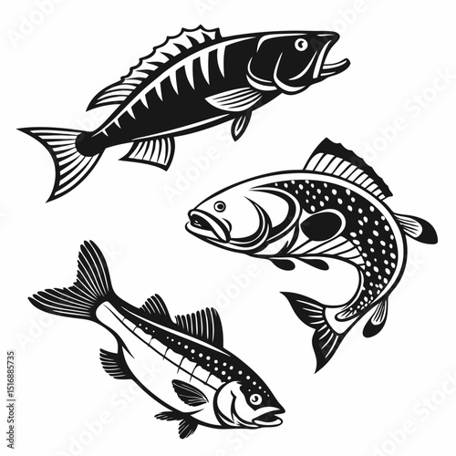 Fish Vector 