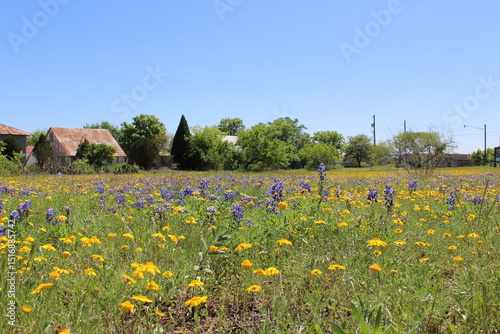 Fototapeta Naklejka Na Ścianę i Meble -  spring landscape with flowers