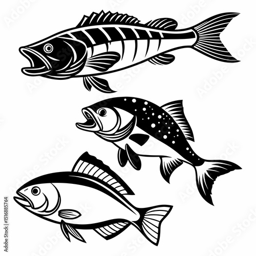 Fish Vector 