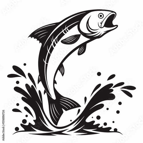  fish collection isolated on white