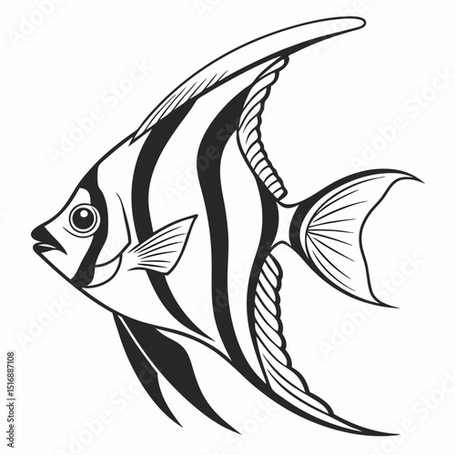 Tropical fish collection isolated on white