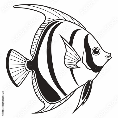 Tropical fish collection isolated on white