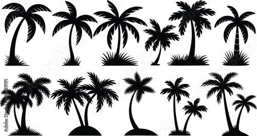 palm trees silhouette set, tropical coconut, isolated on white background