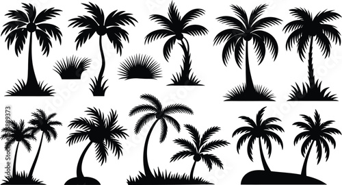 palm trees silhouette set, tropical coconut, isolated on white background