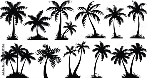 palm trees silhouette set, tropical coconut, isolated on white background