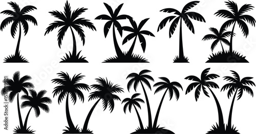 palm trees silhouette set, tropical coconut, isolated on white background