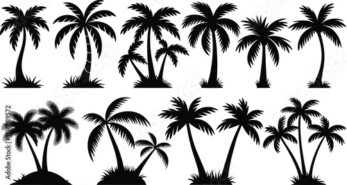 palm trees silhouette set, tropical coconut, isolated on white background