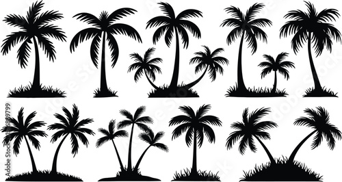palm trees silhouette set, tropical coconut, isolated on white background
