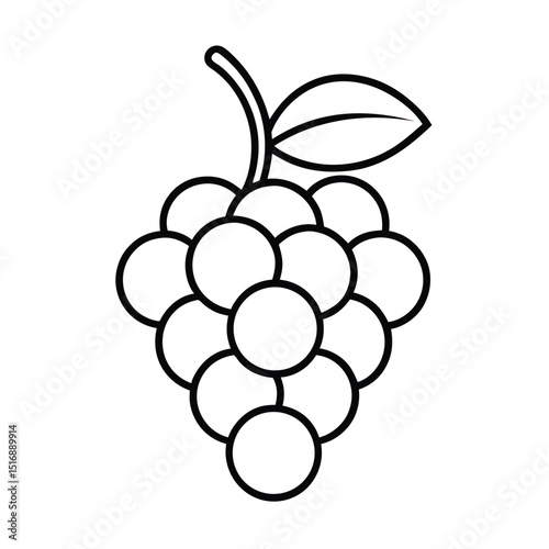 Grapes Line Art Vector Fruit Icon on White background