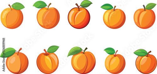 Peach fruit set vector illustration