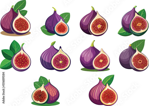 fig fruit set vector illustration