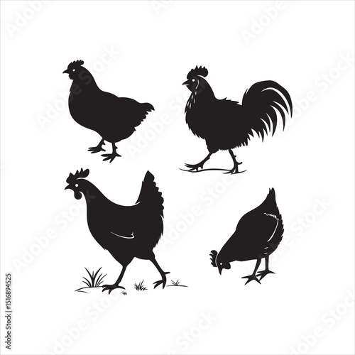 
Vector silhouette set of detailed quality chickens hens and baby chicks in farm