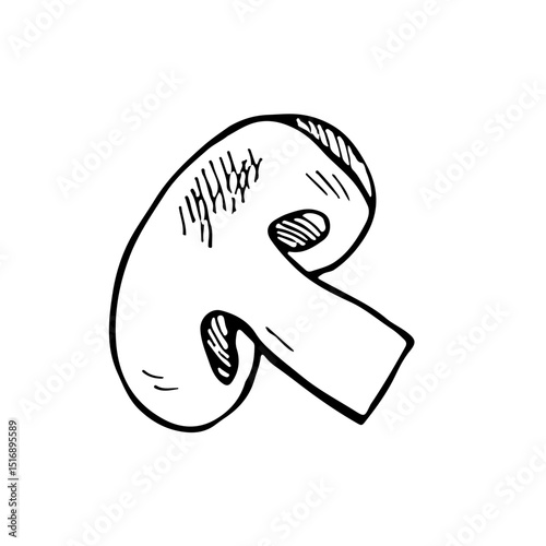 Mushroom champignon. Vector graphics in doodle style, black and white hand-drawn illustration. Isolate on a white background. For packaging and labels, banners and posters. For restaurant, bar menus.