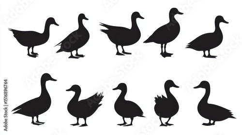 Set of duck silhouette vector illustration