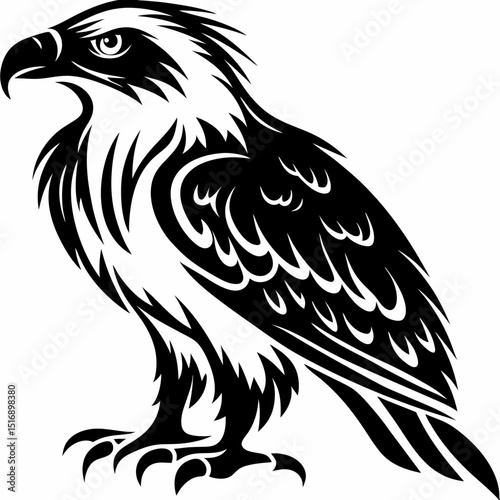 Bald eagle vector illustration black and white drawing of a majestic bird of prey design clip art image