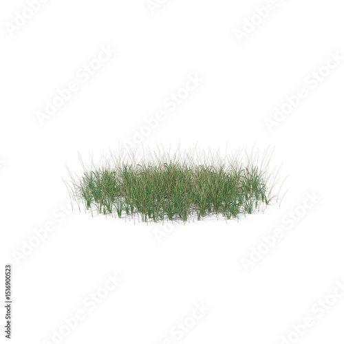 Simple Green Grass Patch Isolated on Transparent Background