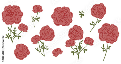 Set chalk rose, peony flowers. Botanic blossom floral branches, leaves, bud on stem. Hand drawn garden peonies or roses plant collection. Freehand vintage pencil textured vector illustration isolated
