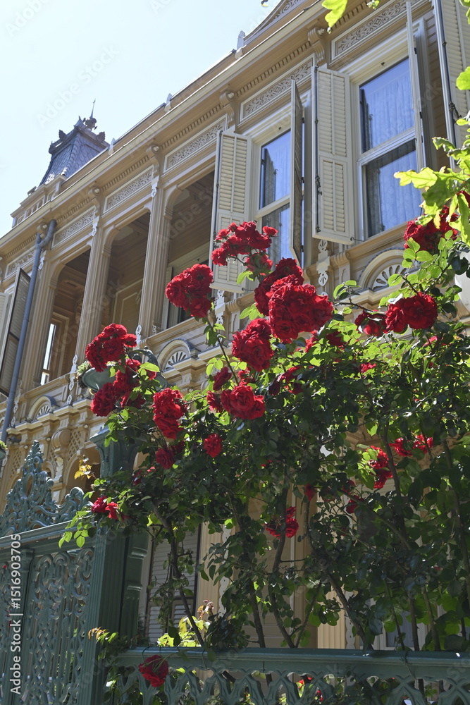 Fototapeta premium old house with flowers
