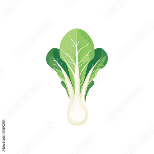 Bok Choy Illustration Vibrant Vector Graphic of Chinese Cabbage