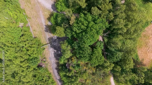 Drone view of a nature park in Osnabrueck, Germany (Rundwanderweg Piesberg Nord)