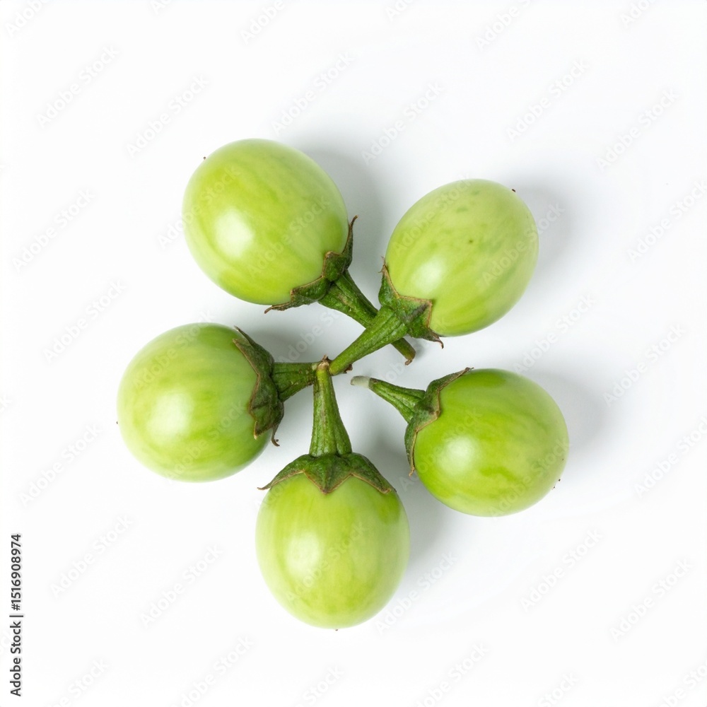 Leuncas on Isolated White Background – Indonesian Nightshade Berries with Green Skin and Culinary Use Under Studio Light Leuncas on Isolated White Background – Indonesian Nightshade Berries with Green Skin and Culinary Use Under Studio Light