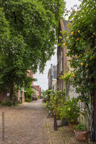 Urban greening with pots, plants and flowers in front of the houses in Leiden in South-Holland in The Netherlands