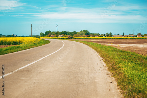Empty country road through cultivated rapeseed canola fields in spring