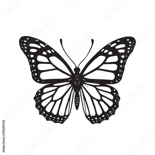 butterfly on white background
