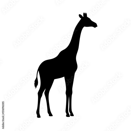 Giraffe silhouette vector illustration animal wildlife africa safari mammal zoo tall necked herbivore
