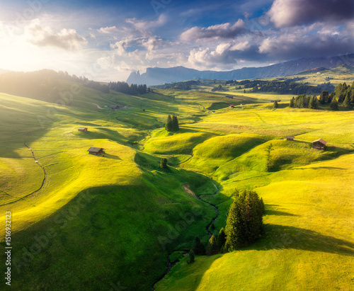 Aerial view of green alpine...