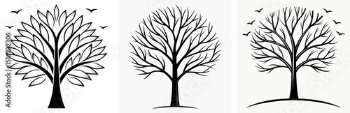 Vector set of artistic tree silhouettes with branches and birds for graphic design