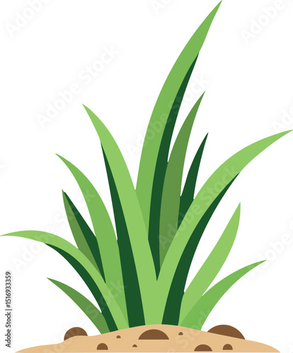 Green Grass Plant Growing in Soil with Natural Fresh Appearance Vector Illustration 