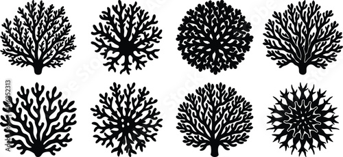 set of silhouettes of coral icon