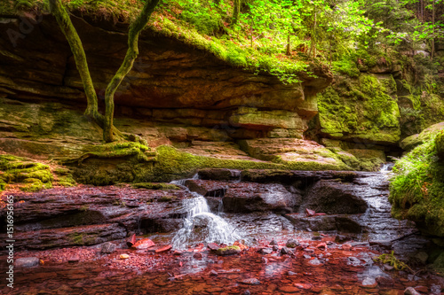 waterfall in the forest