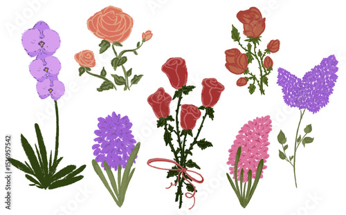 Set chalk texture botanic blossom flowers. Lilac branch with leaves, Hyacinth floral collection. Crayon hand drawn rose bouquets, orchid bloom plant. Vector illustration isolated. White background