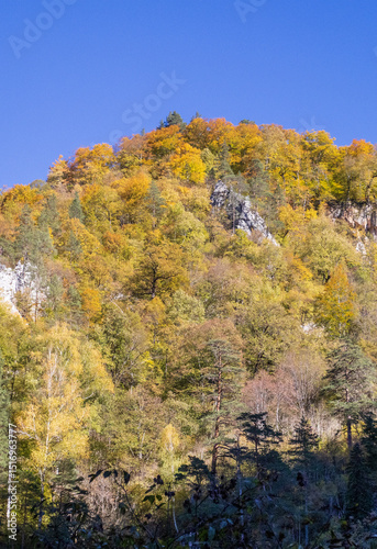 Wallpaper Mural autumn hike to the sources of a mountain river along the riverbed and canyon through difficult wilderness areas Torontodigital.ca