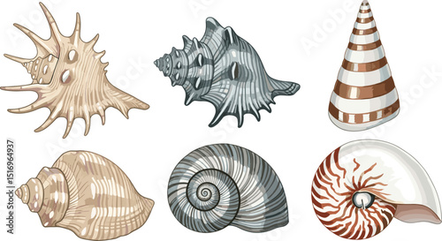 Watercolor sea shells set, hand painted ocean conch, spiral shells clipart, marine coastal elements isolated background