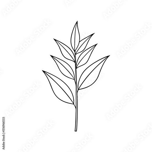 Grain Oat Plant Sketch Outline
