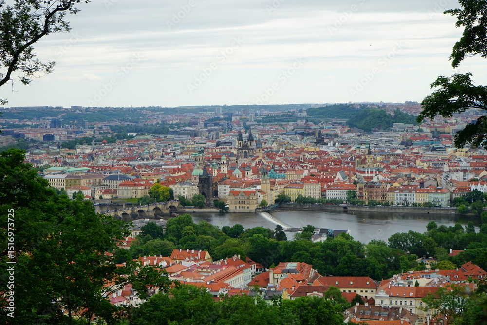 Fototapeta premium Prague skyline through the trees, Czech Republic