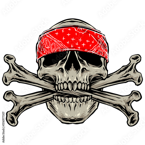 vector of bandana  skull with cross bone