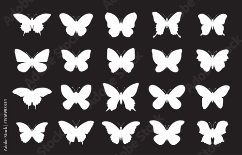 Set white outline butterfly and moths