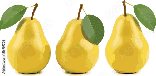 Sweet pears set watercolor illustration, fruits on isolated background, botanical painting. Ripe yellow pear with leaf