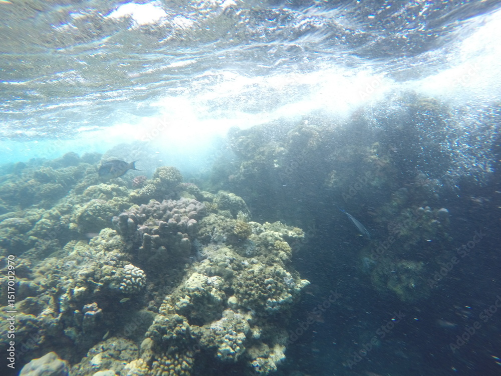 Fototapeta premium waves hitting the coral reef
