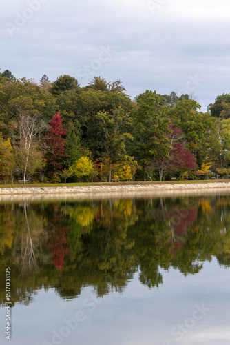 Autumn Trees Reflected in Brookline Reservoir, Massachusetts