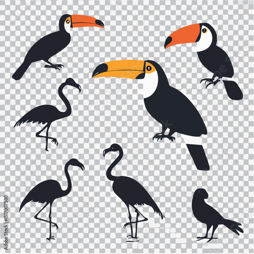 Pack of exotic bird silhouettes including parrot, toucan, hornbill, flamingo, and crane, vector-style black shapes in flying and perched positions for logos, minimalist decor, and design overlays
